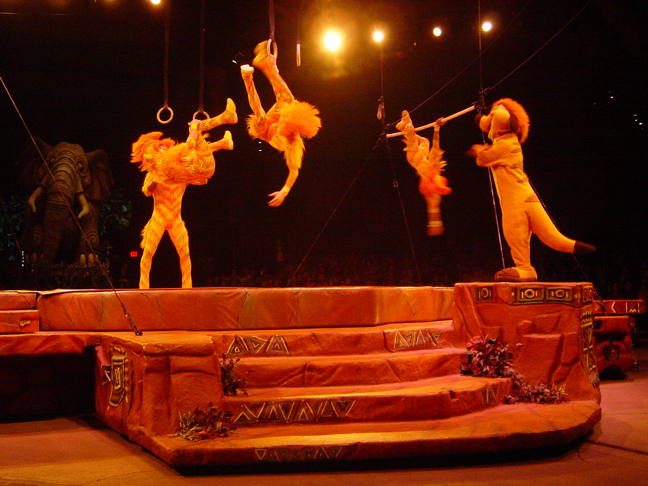 [DSC01123.JPG]