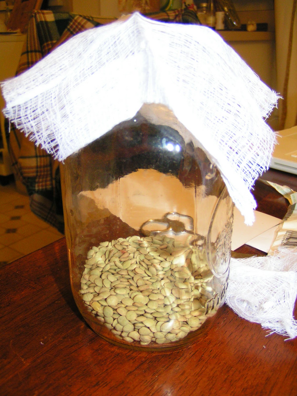 OHIO Ecohouse DIY Sprouts