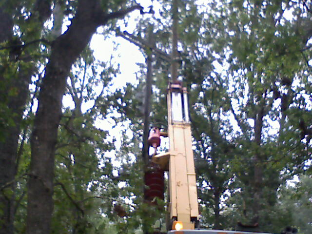 [0_IMAGE_032-704382.jpg]