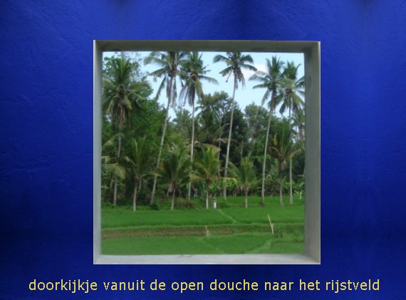 [doorkijkje.jpg]