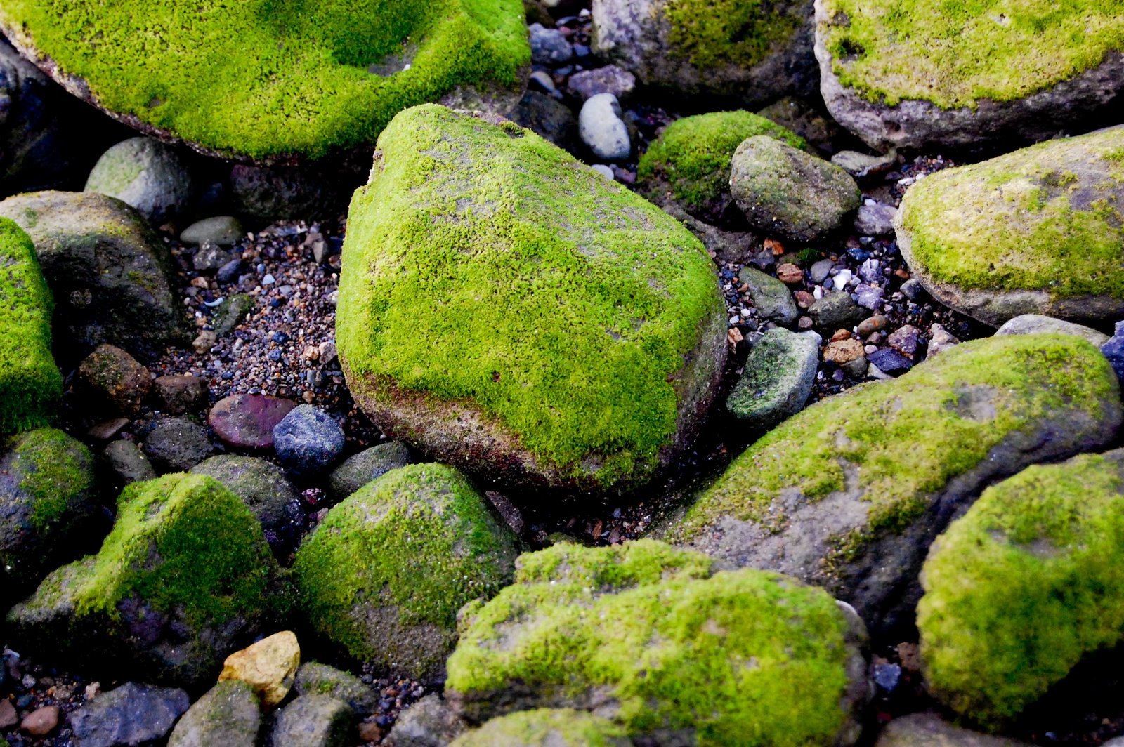 [DSC_0115.jpg]