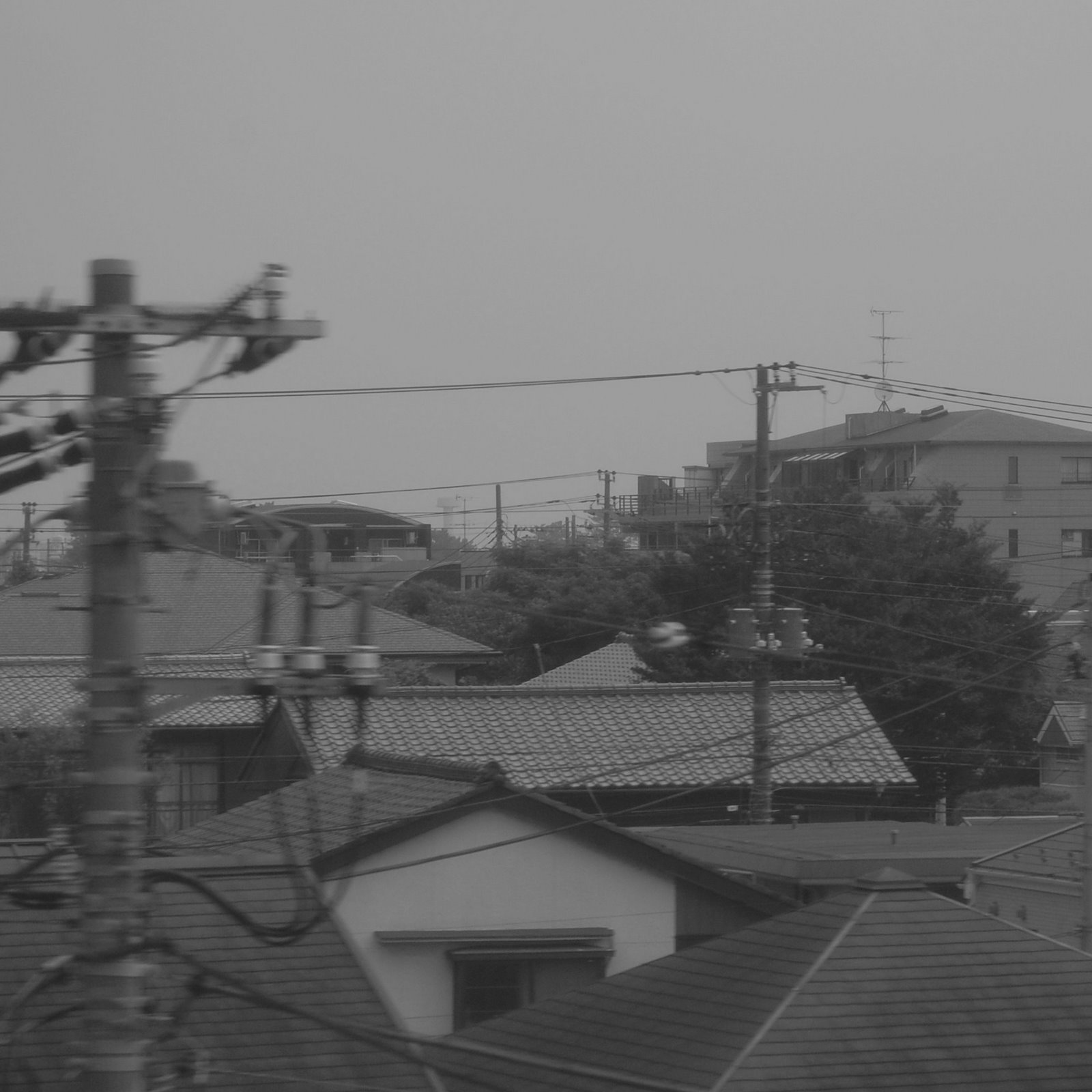 [DSC_0003.JPG]
