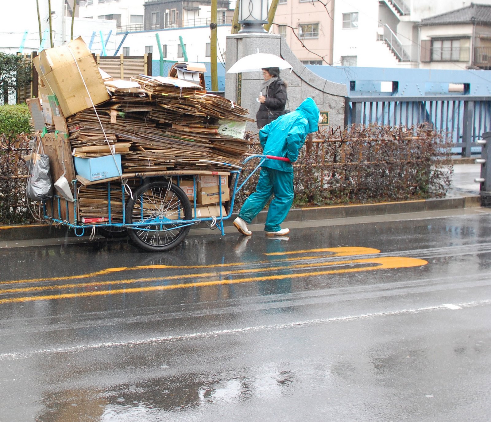[DSC_1141.JPG]