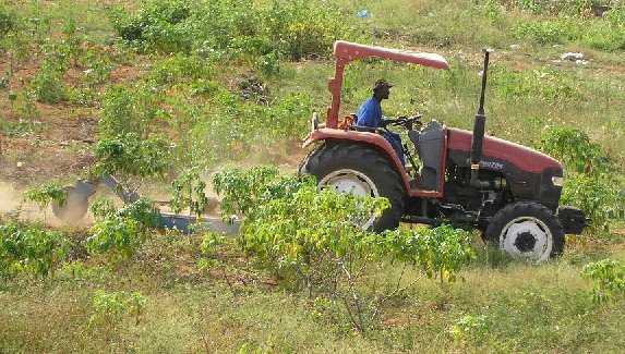 [machamba+tractor.JPG]