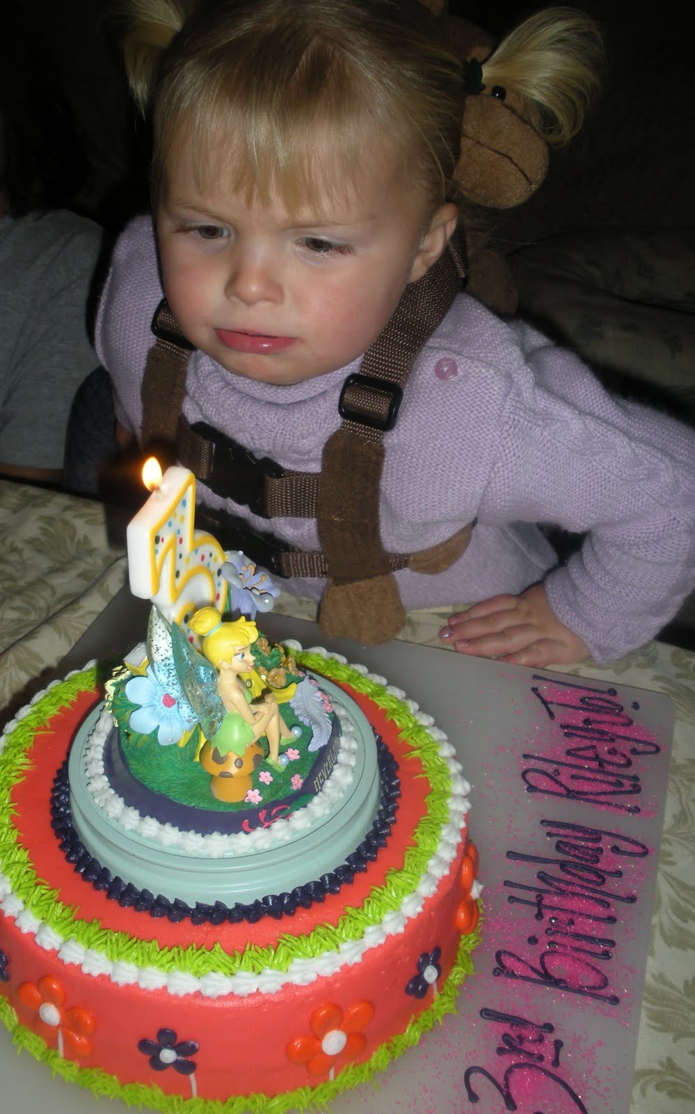 The Mellott Family November 2009