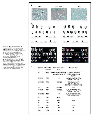 When the TMC were injected