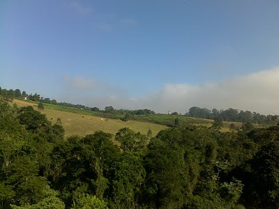 Paisagens belas (tinha até vaquinhas...)