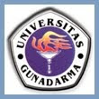 Universitas Gunadarma