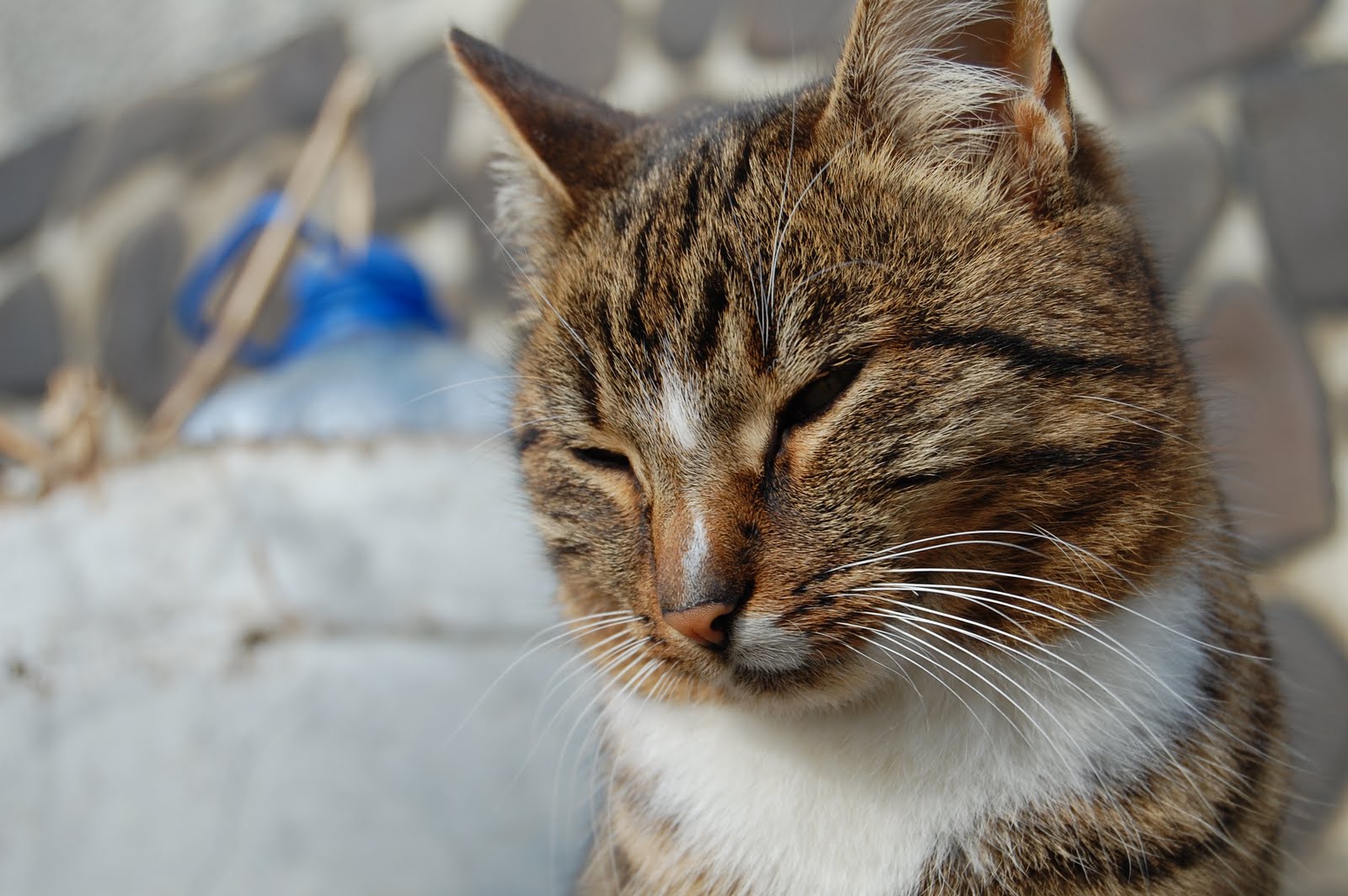 [DSC_0194.JPG]
