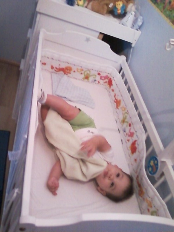 [Fényképek-0088.jpg]