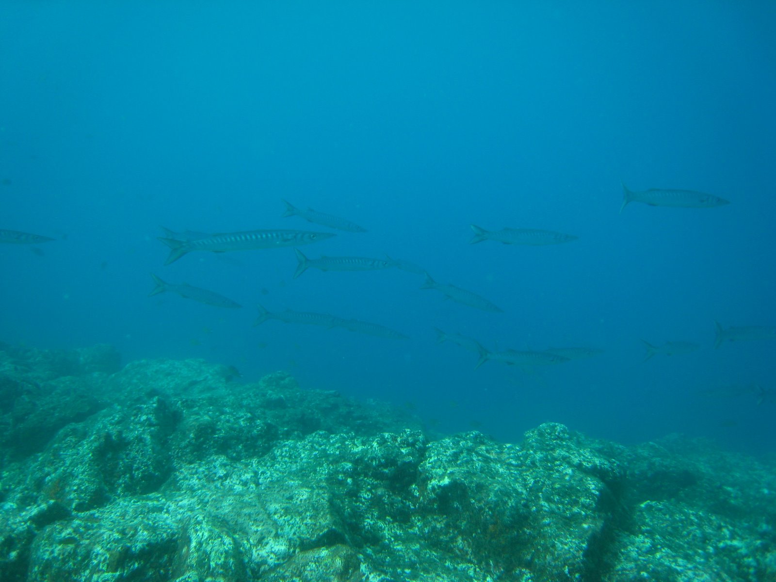 [IMG_2342.JPG]