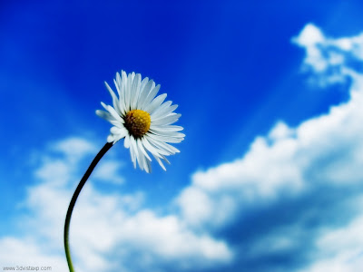 Site Blogspot Computer Background Pictures on Pictures Mela 3d Desktop Wallpaper