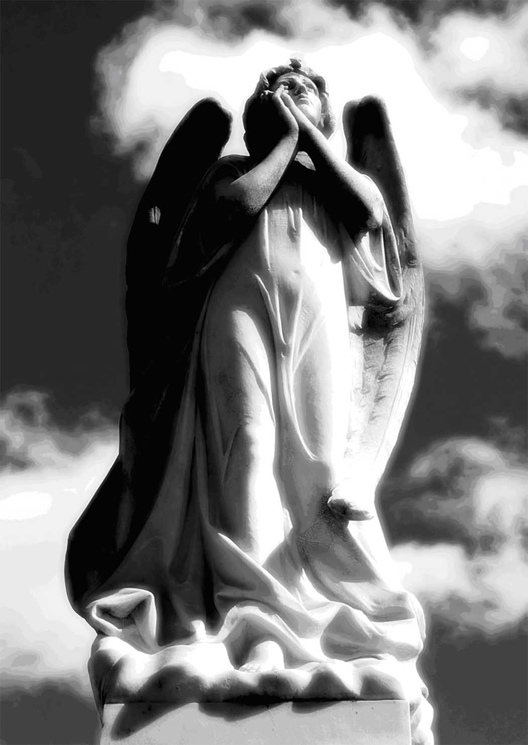 [Angel.psd]