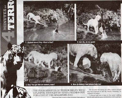harimau jadian lelaki melayu di baham harimau singapura zoo