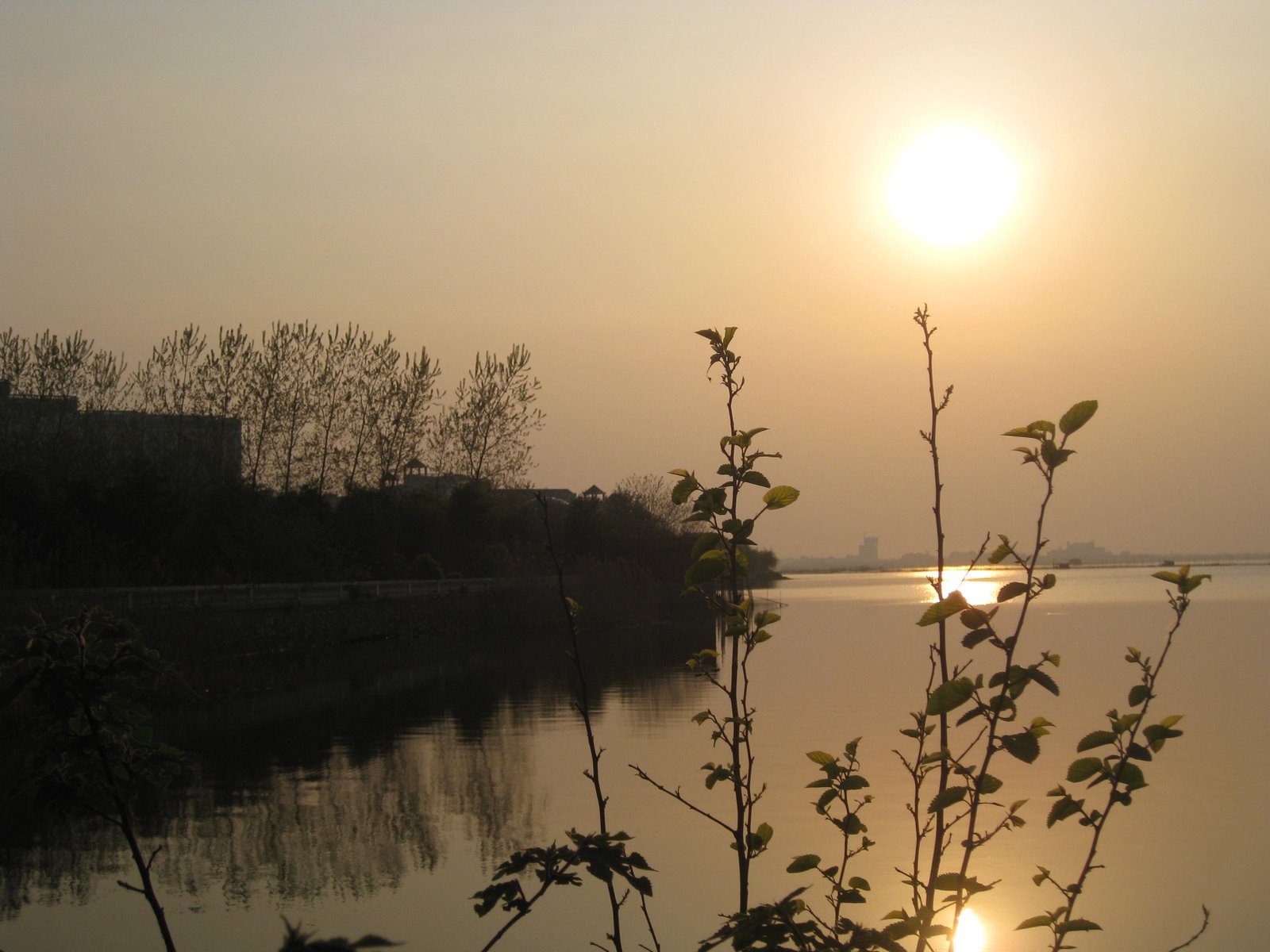 [IMG_1404.JPG]