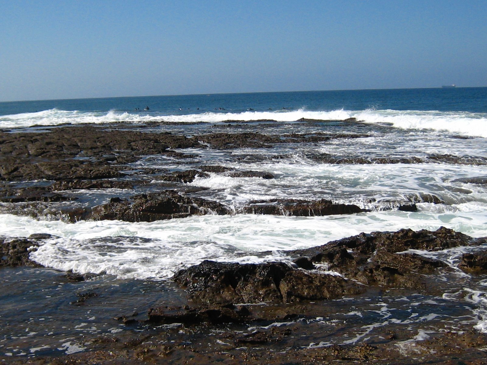 [IMG_1793.JPG]