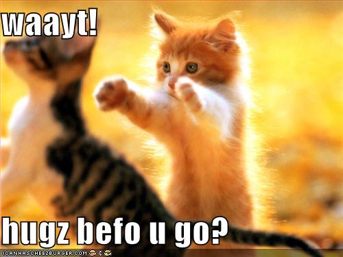 [funny-pictures-kittens-hugs-before-you-go.jpg]