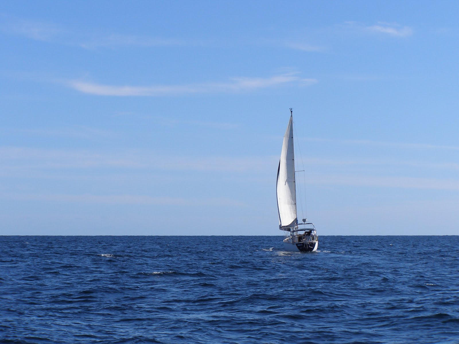 [P2210162.JPG]