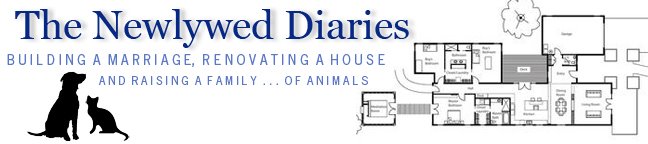 The Newlywed Diaries
