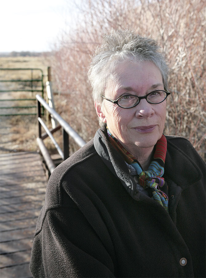 the shipping news annie proulx essay the shipping news annie proulx essay