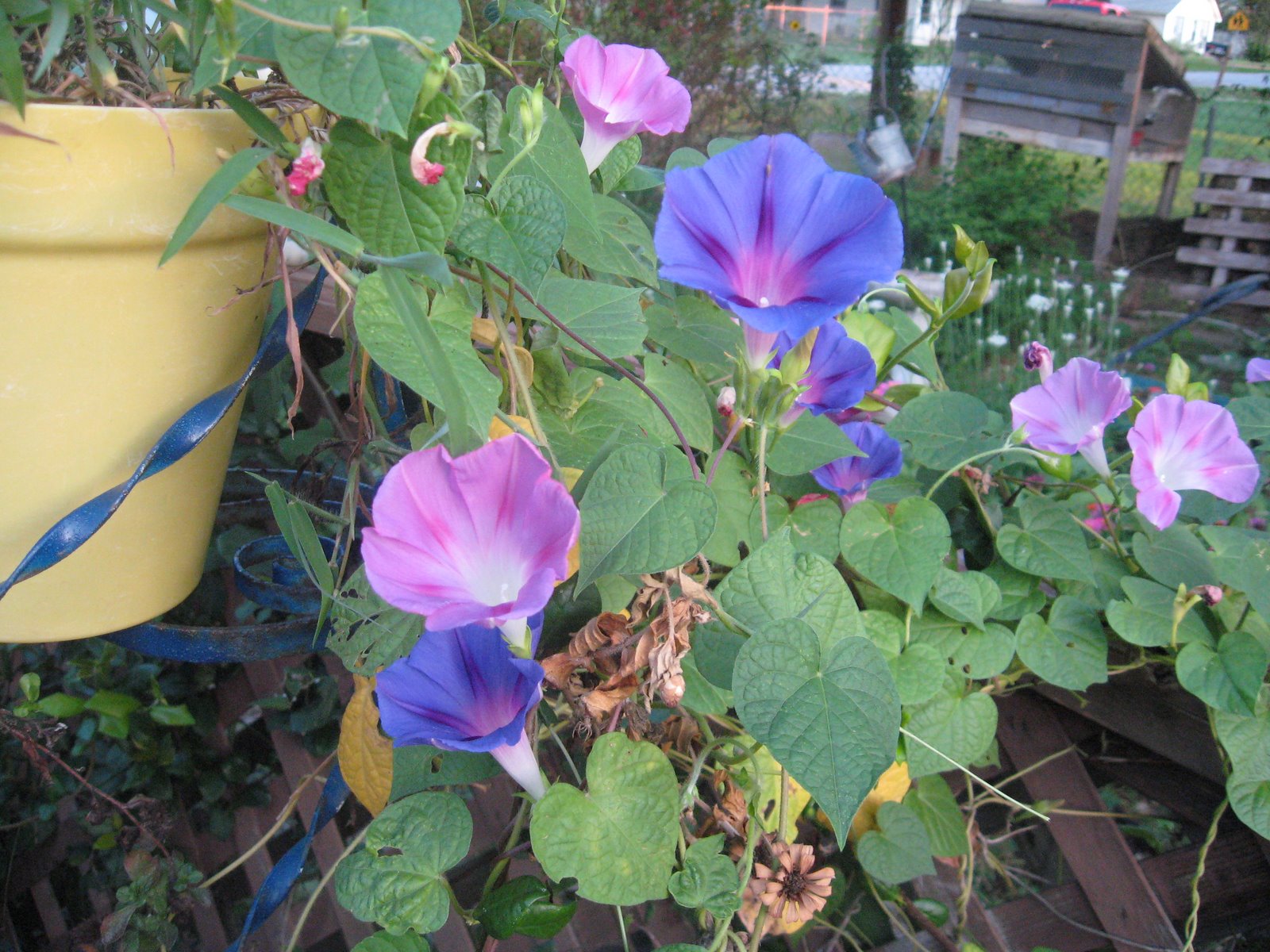 [IMG_3307.JPG]