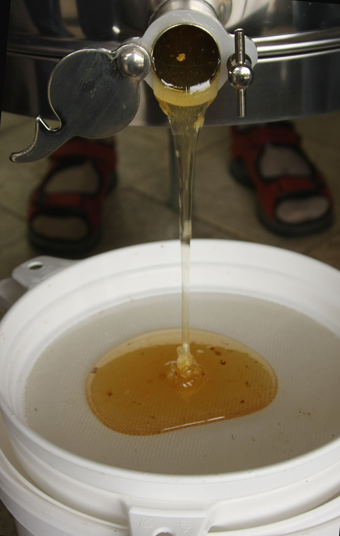 [Honigschleudern+bei+Ecki+4+small.jpg]