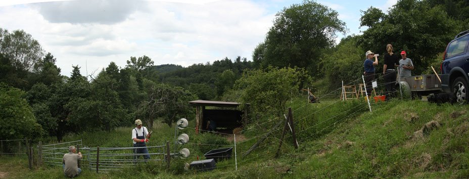 [Streuobstwiese+im+Stettbachtal+3+small.jpg]