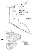 Avenc d'Esteles