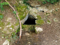 Font del pollancre