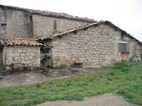 Cal Pallot