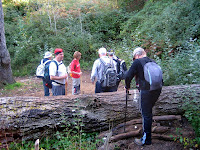 Font d'en Gurri