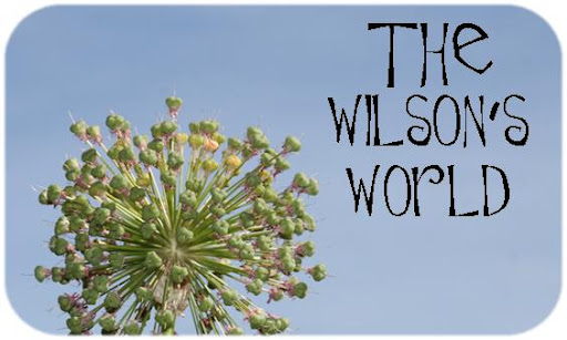 The Wilson's World