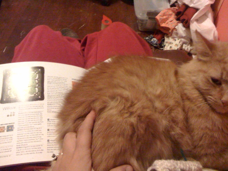 [photo+4-757459.jpg]