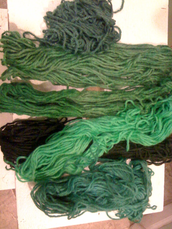 [photo+5-743694.jpg]