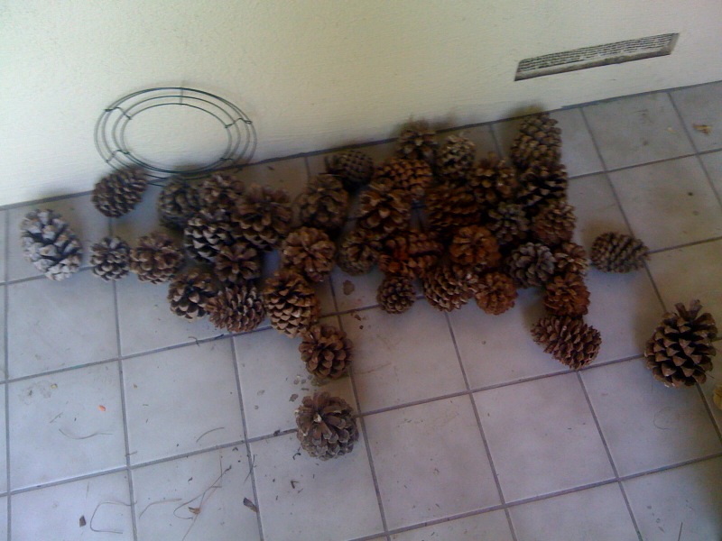 [photo+3-711211.jpg]