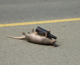 That Yankee Rodent Doesn T Know Crap About Weather Rugerforum Com View Topic
