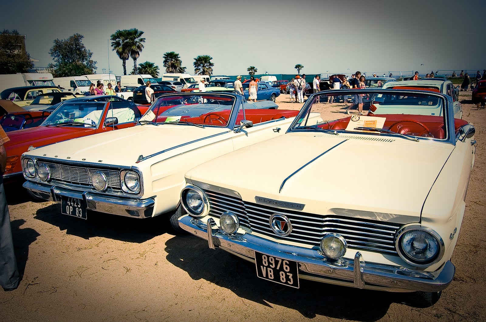 [DSC_0711-3.jpg]