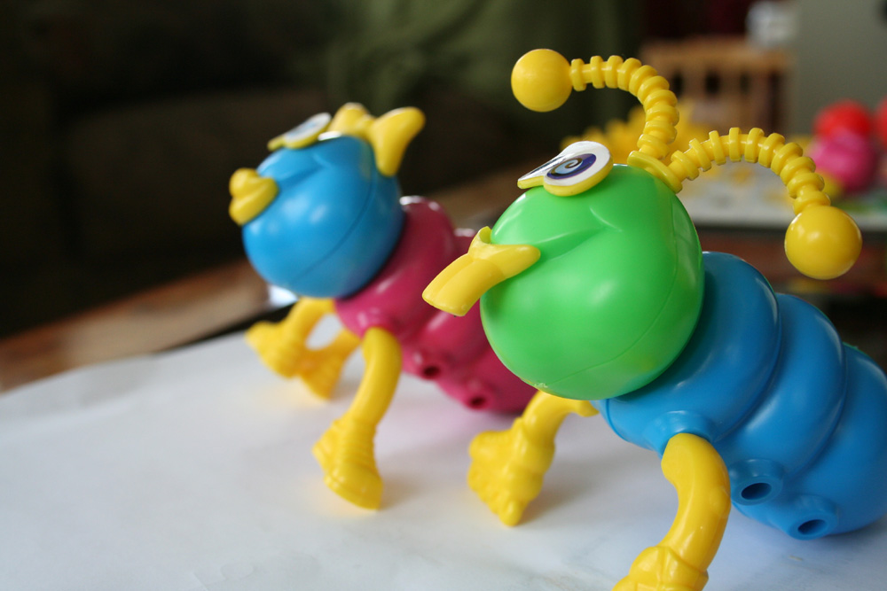 BOHEMIAN adventures 40 Days to Freedom!