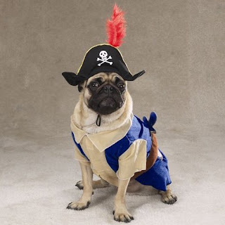 ref_pug+full+body+pirate+1.jpg