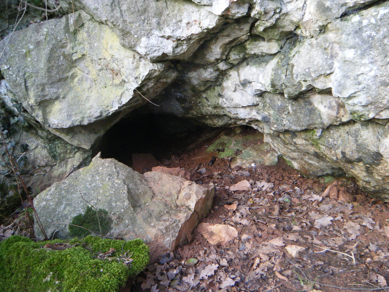 Tanière des Anciens.