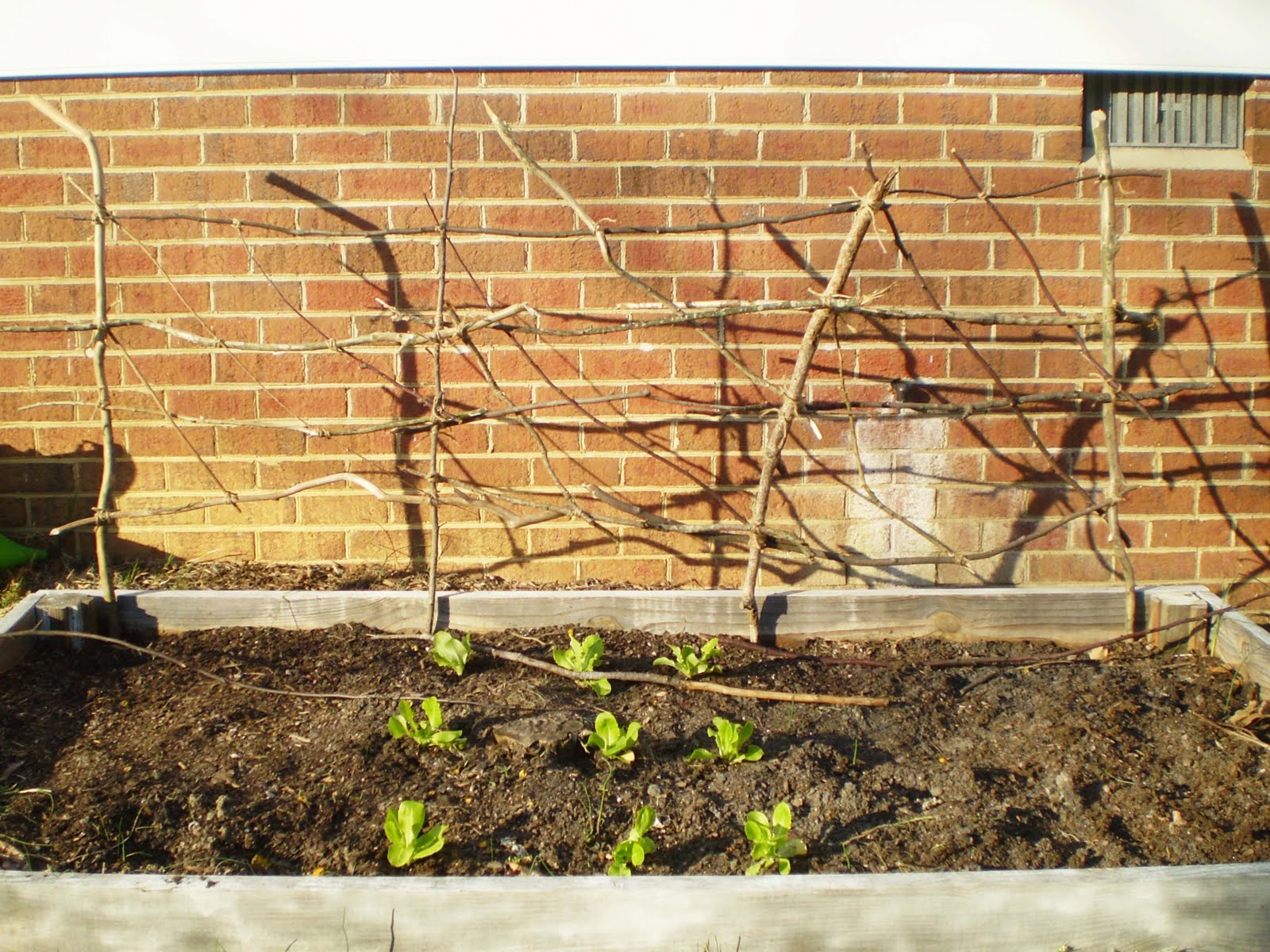 Bright As Yellow How To Garden Twig Trellis