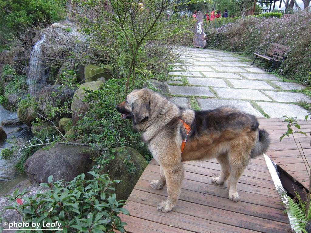 [IMG_1050+(Large).jpg]