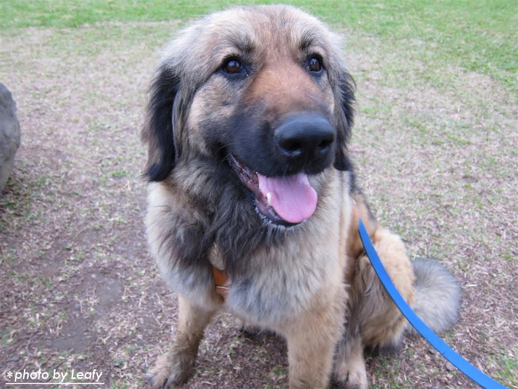 [IMG_1018+(Large).jpg]