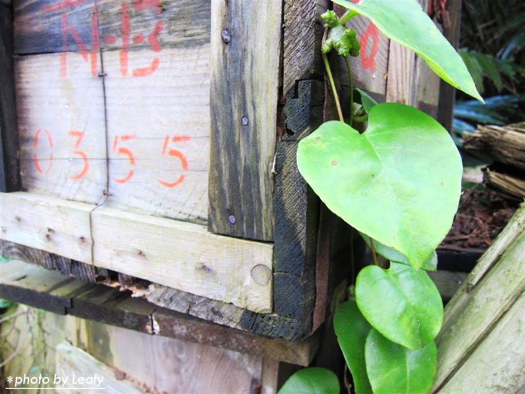 [IMG_1265+(Large).jpg]