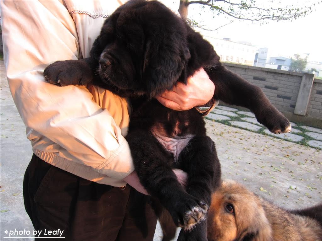 [IMG_1270+(Large).jpg]