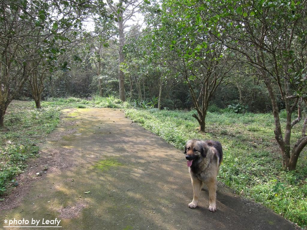 [IMG_1206+(Large).jpg]