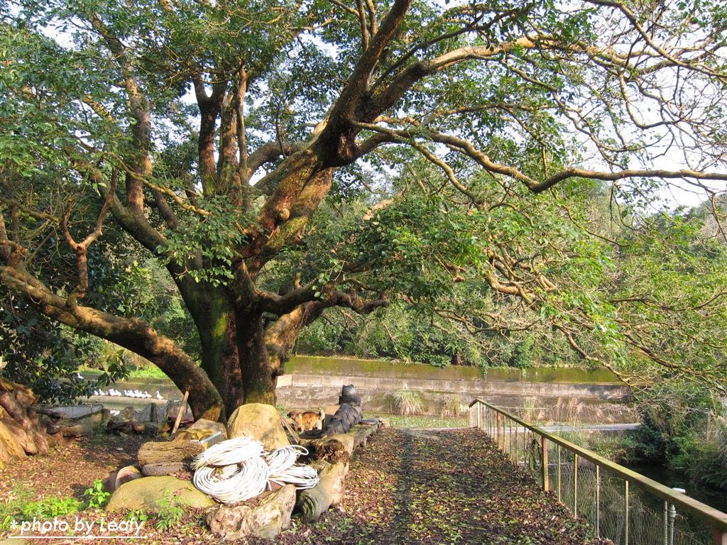 [IMG_1256+(Large).jpg]