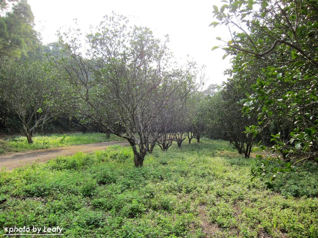 [IMG_1222+(Large).jpg]