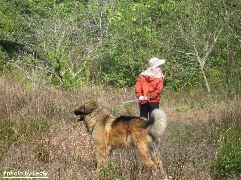 [IMG_1224+(Large).jpg]