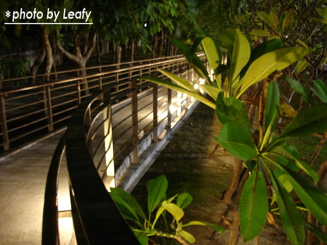 [%E7%85%A7%E7%89%87+3001.jpg]